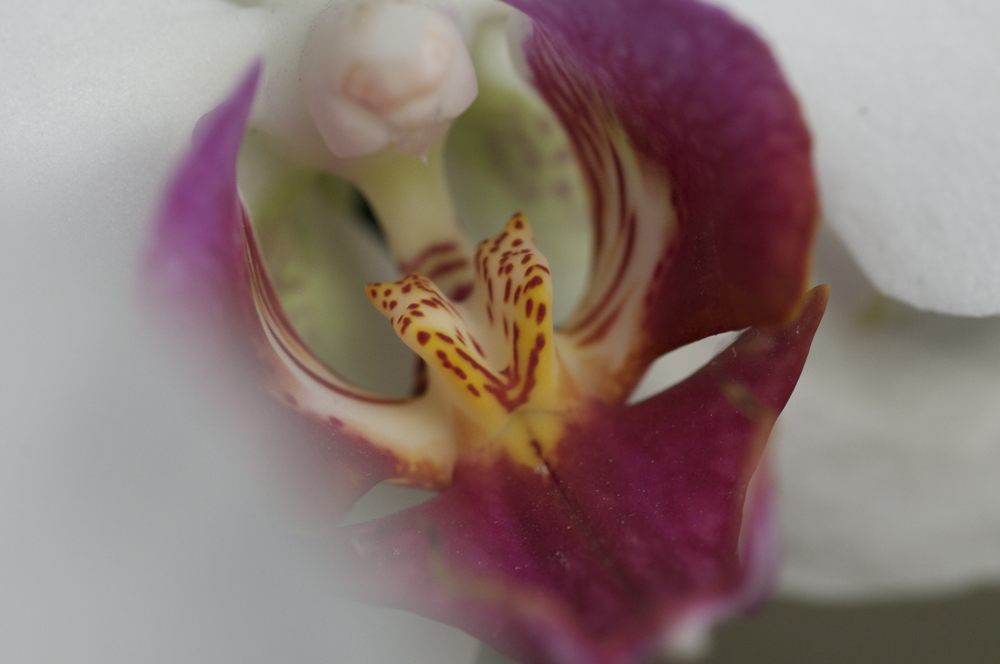 8400933873_88dc0d801f_k